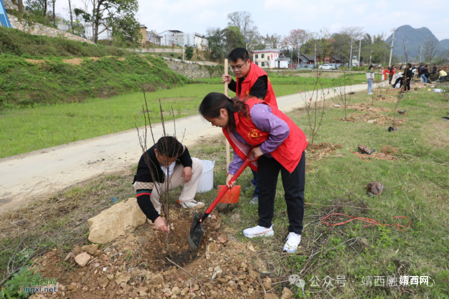 靖西市化峒镇开展“春暖三月学雷锋 植树护绿我先行”志愿服务活动 - 靖西市·靖西网