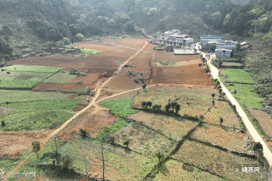 靖西：学习“千万工程”经验 各乡镇实施建设美丽乡村在行动 - 靖西市·靖西网