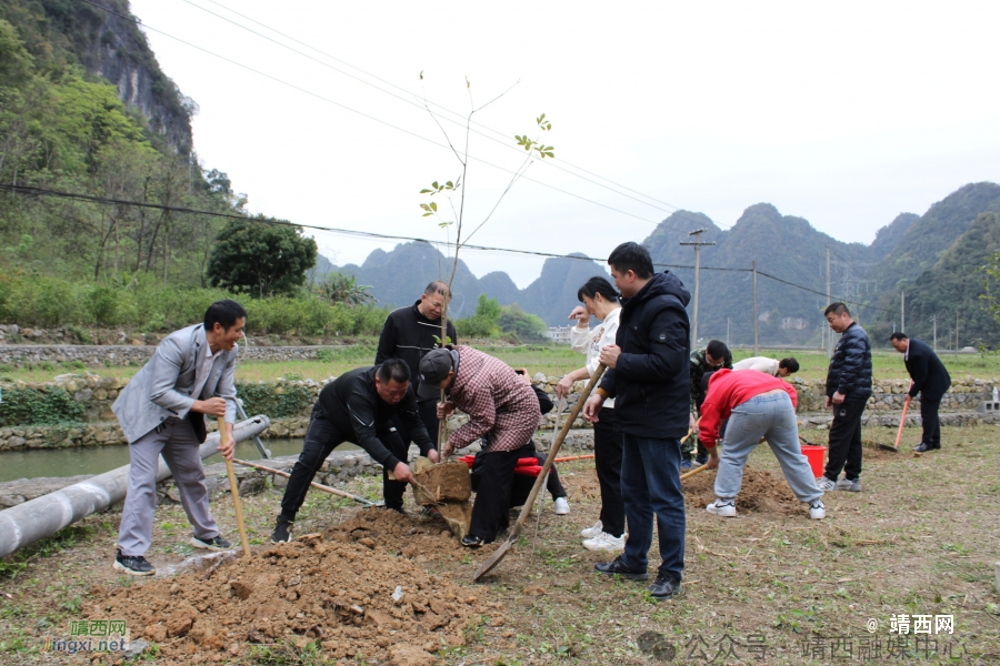 靖西市武平镇：植树造林添新绿 和美乡村添动力 - 靖西市·靖西网