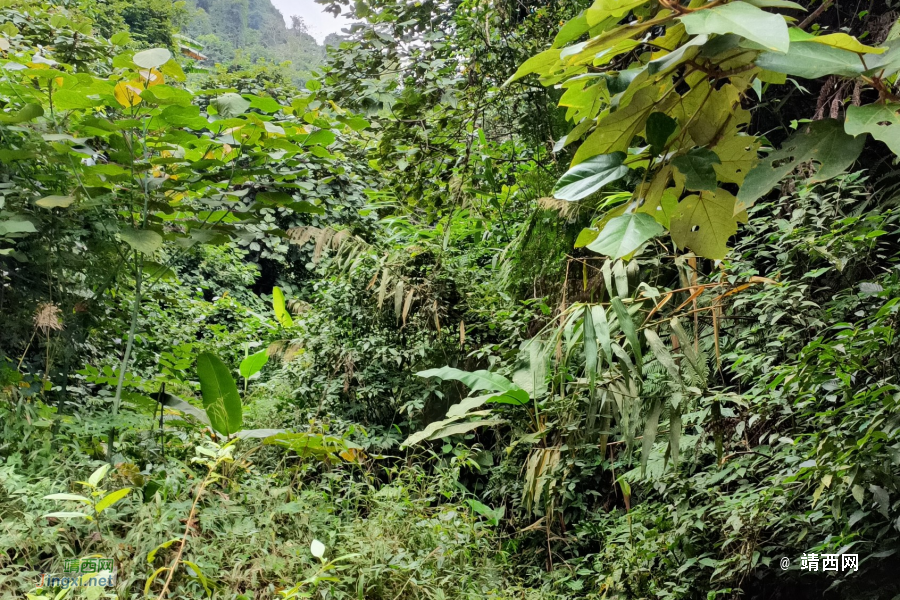 同德乌鸦山前传 - 靖西市·靖西网