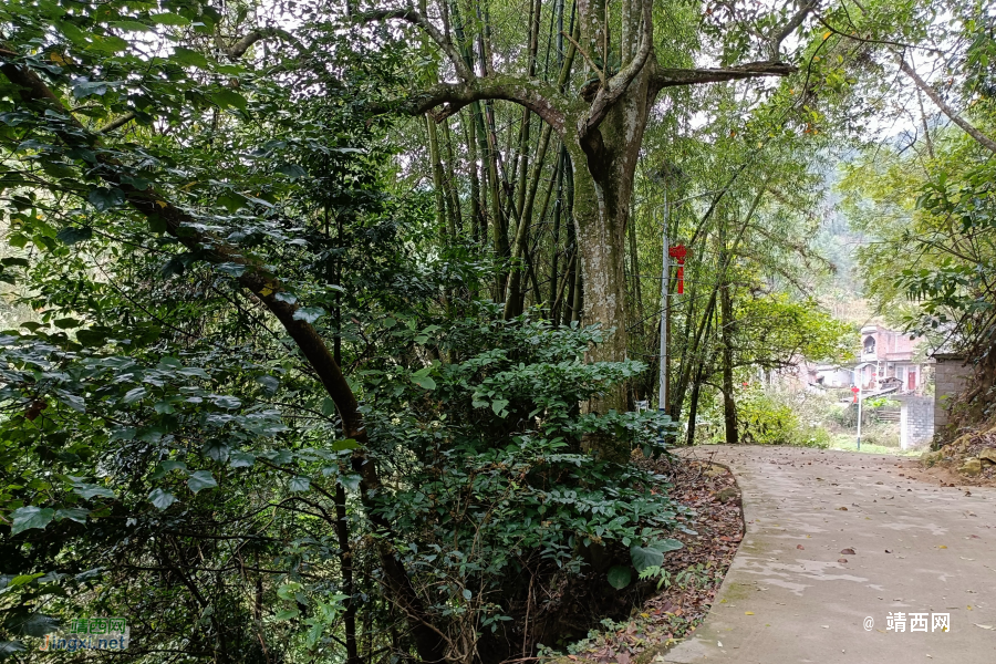 同德乌鸦山前传 - 靖西市·靖西网