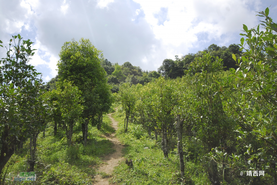 又是一年山岳山：恐怖的乌鸦山 - 靖西市·靖西网