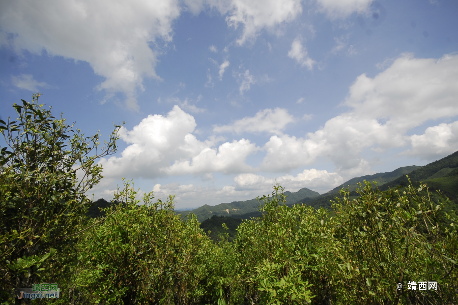 又是一年山岳山：恐怖的乌鸦山 - 靖西市·靖西网