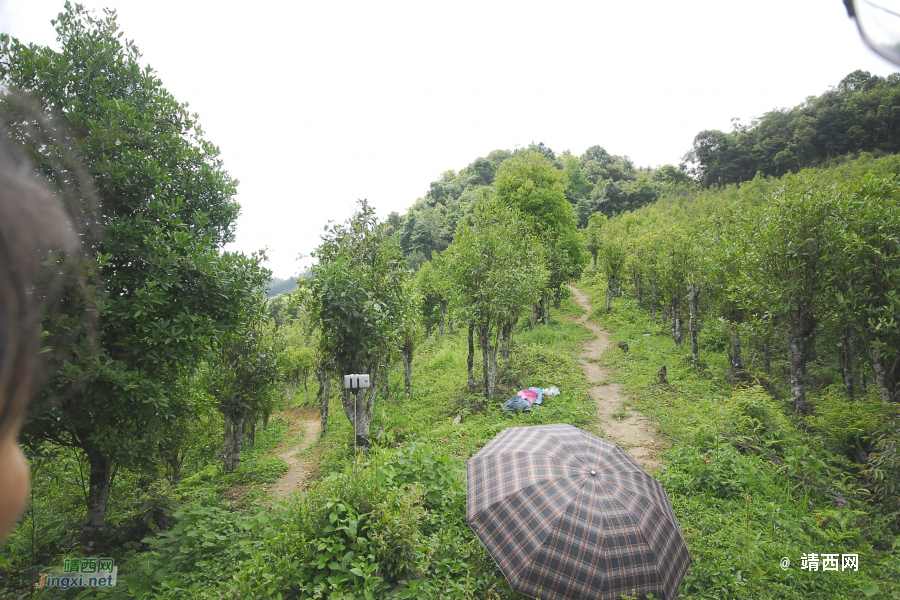 又是一年山岳山：恐怖的乌鸦山 - 靖西市·靖西网