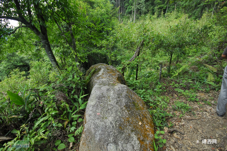 又是一年山岳山：恐怖的乌鸦山 - 靖西市·靖西网