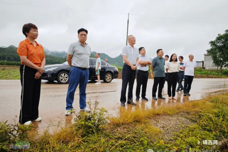 百色市人大常委会调研组到靖西市开展乡村振兴工作情况专题调研 - 靖西市·靖西网