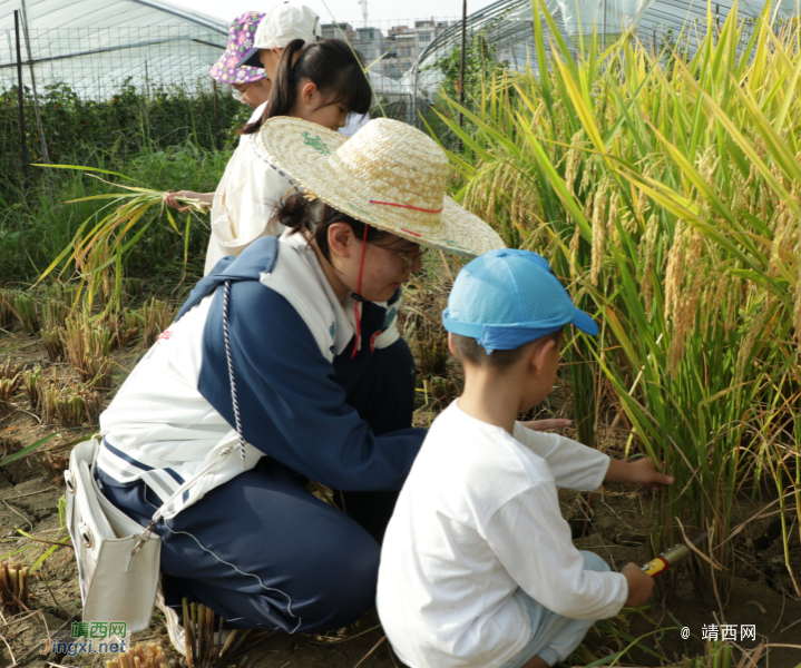 田东县第二幼儿园开展劳动实践活动 - 靖西市·靖西网