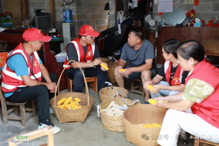 魁圩乡康和村：“五面红旗”树标杆 乡村振兴添赋能 - 靖西市·靖西网