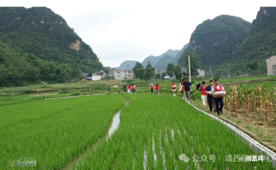 脚下有泥 心中有爱——记魁圩乡平巷村第一书记蓝勋 - 靖西市·靖西网