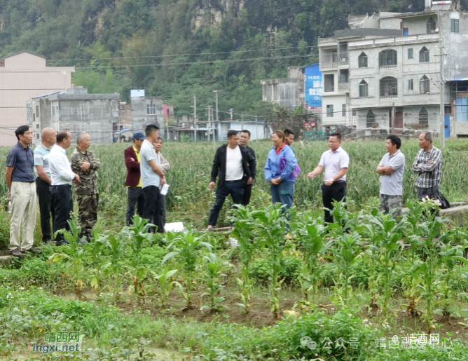 脚下有泥 心中有爱——记魁圩乡平巷村第一书记蓝勋 - 靖西市·靖西网