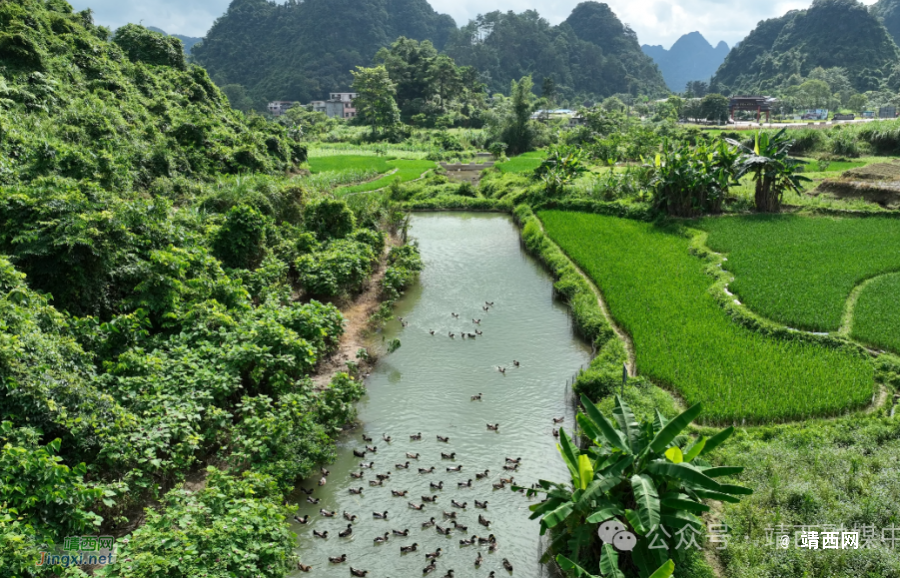 湖润镇：“多元模式”壮大村集体经济促农增收 - 靖西市·靖西网