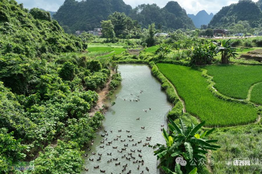 湖润镇新灵村：扬五面红旗 绘振兴蓝图 - 靖西市·靖西网