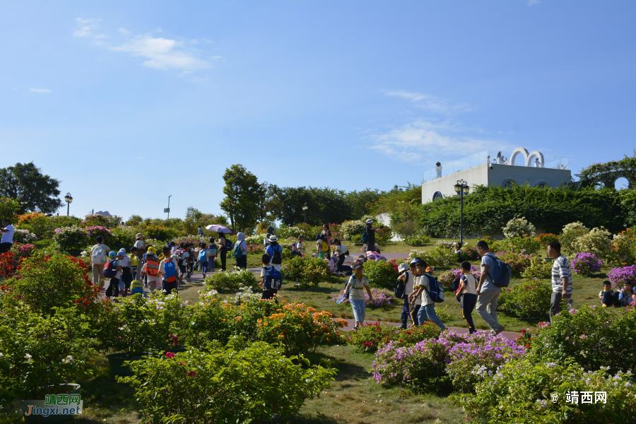 青秀山三角梅盛开了 - 靖西市·靖西网