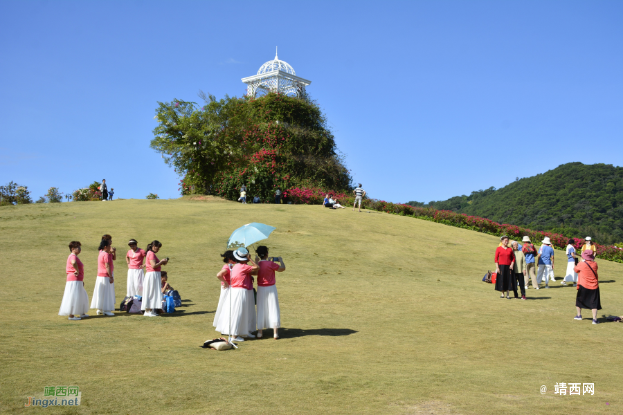 青秀山三角梅盛开了 - 靖西市·靖西网