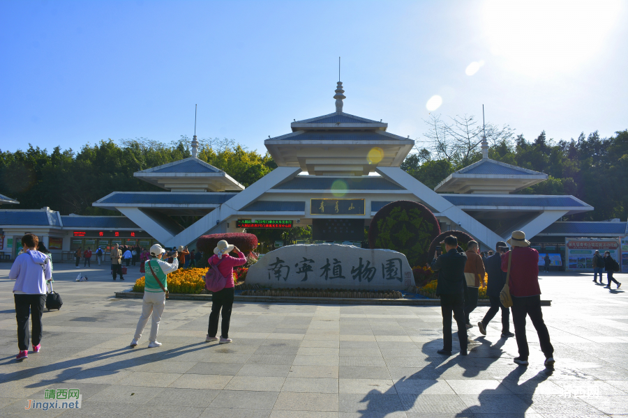 2024南宁青秀山菊花展 - 靖西市·靖西网